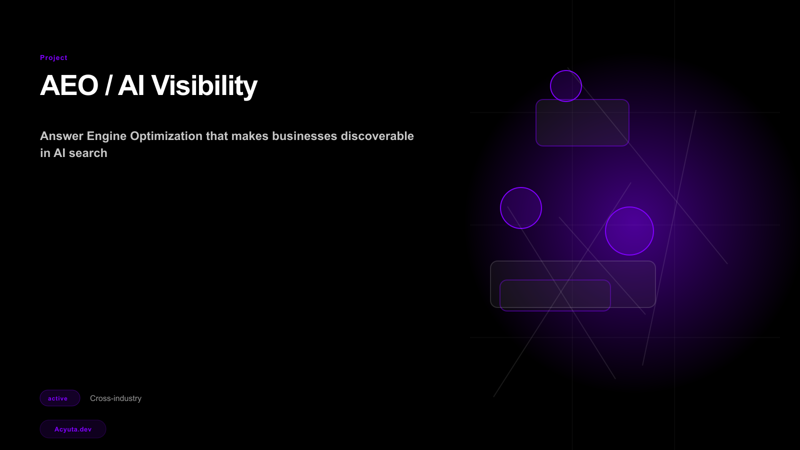 AEO / AI Visibility project preview