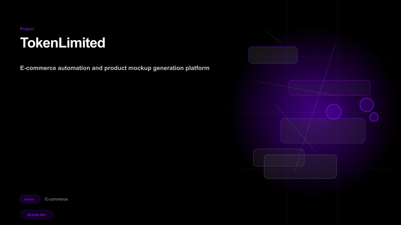 TokenLimited project preview