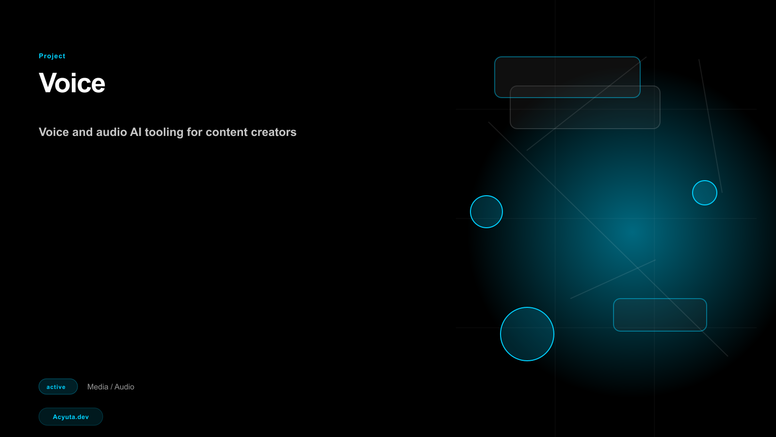 Voice project preview